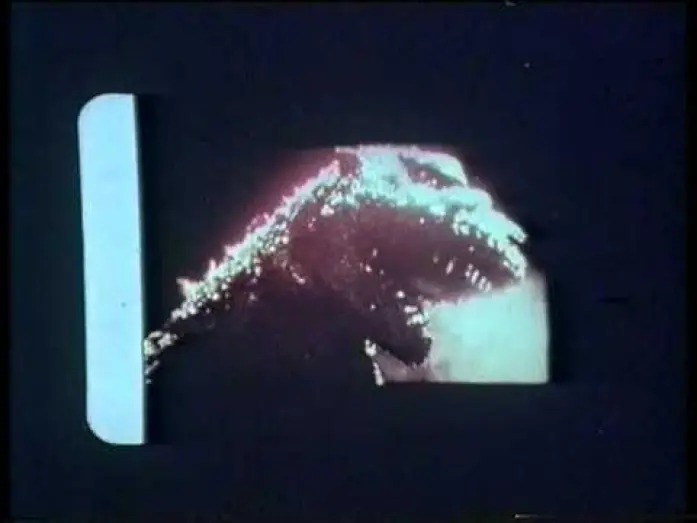 Wideo do filmu Godzilla — GODZILLA DI LUIGI COZZI (1977)