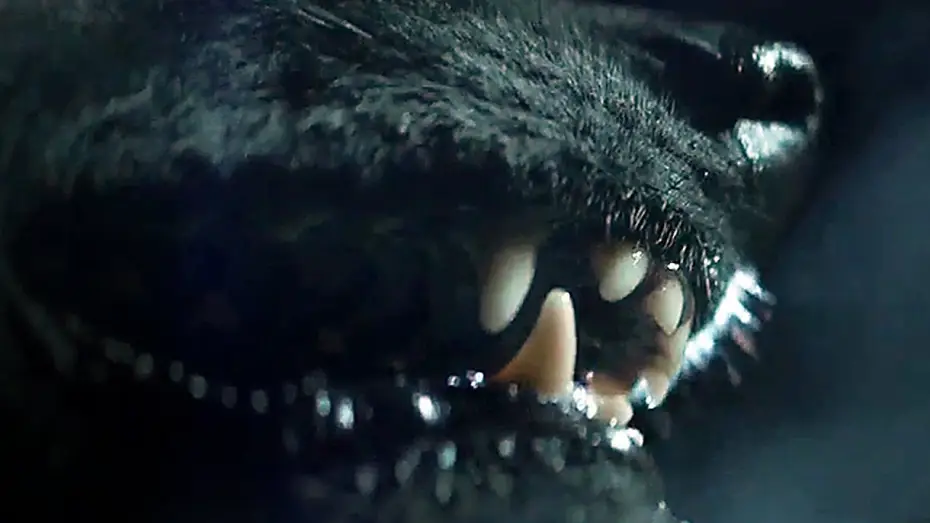 Wideo do filmu The Pack — THE PACK Trailer (2015) Animal Horror Remake