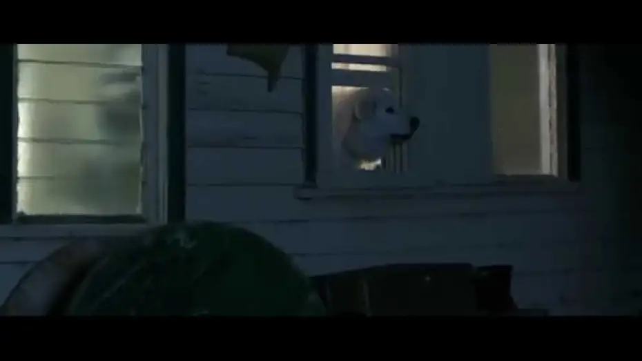 Wideo do filmu Szajbus i pingwiny — Giotto l'amico dei pinguini, dal 29 ottobre al cinema - Trailer Ufficiale