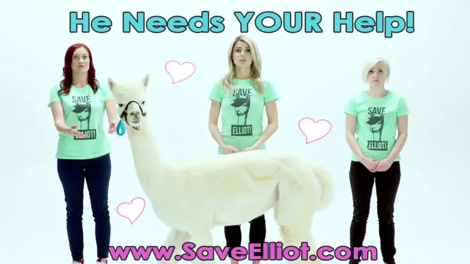 Wideo do filmu Dirty 30 — HELP OUR ALPACA FRIENDS! #Dirty30Movie