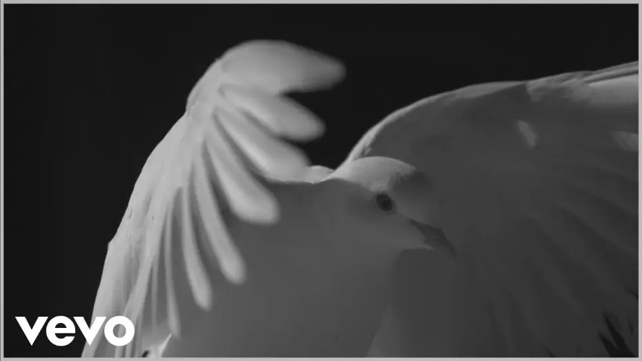 Wideo do filmu Les Enfoirés 2016 - Au rendez-vous des Enfoirés — Les Enfoirés 2016 - Liberté (Clip officiel)