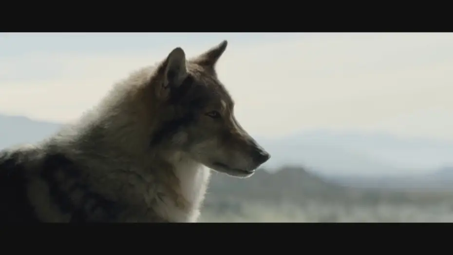 Wideo do filmu Alfa — ALPHA - Filmclip deutsch "Friedensangebot" | Ab 7.9.2018 nur im Kino