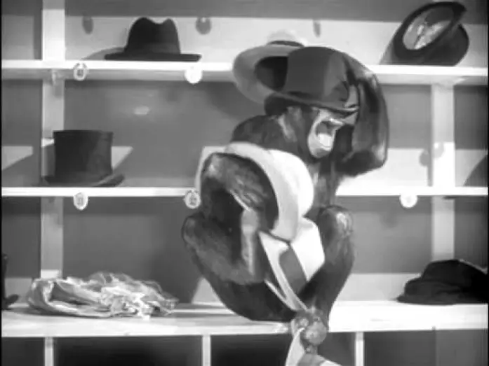 Wideo do filmu Tarzan w Nowym Jorku — Tarzan's New York Adventure Official Trailer #1 - Virginia Grey Movie (1942) HD