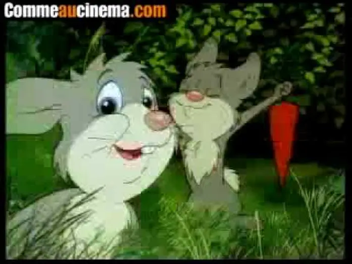 Wideo do filmu A hetedik testvér — Le 7ème Petit Frère ( 1995 ) French
