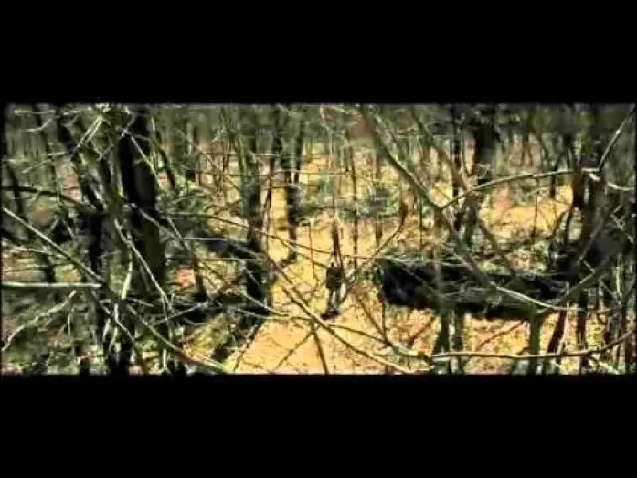 Wideo do filmu Inkarnacja — SHELTER Trailer deutsch - Ab 3.Dezember 2010 auf DVD und BluRay