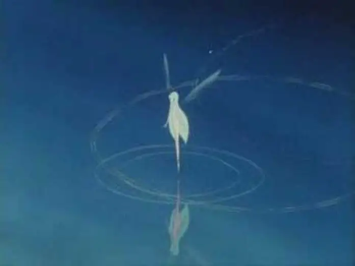 Wideo do filmu シリウスの伝説 — Trailer for Legend of Sirius (1981)