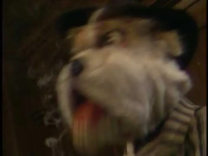 Wideo do filmu Dog City — Trailer - Dog City - The Jim Henson Company