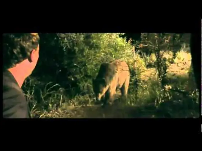 Wideo do filmu Niedźwiedź — Bear - Trailer (OmU)