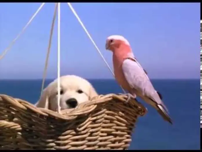 Wideo do filmu Napoleon — Napoleon - Excerpt (1995)