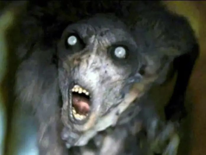 Wideo do filmu Nie bój się ciemności — DON'T BE AFRAID OF THE DARK | Trailer deutsch german [HD]