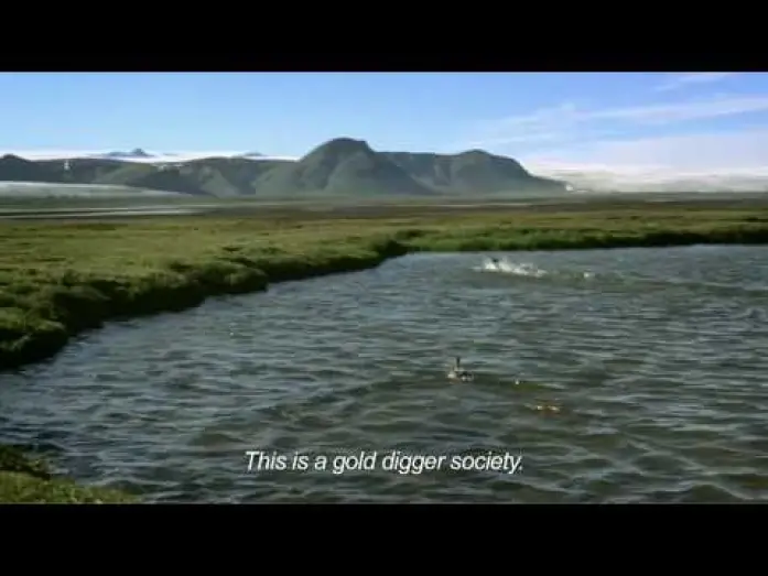 Wideo do filmu Draumalandið — Dreamland trailer with subtitles