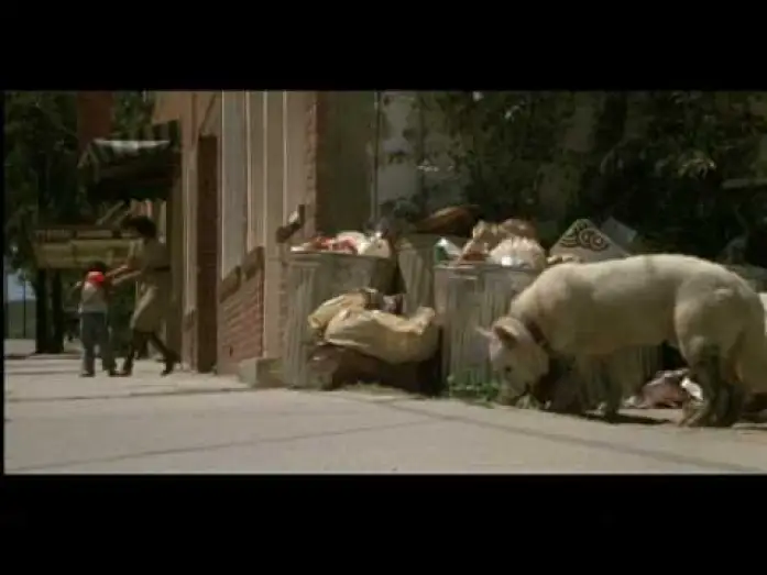 Wideo do filmu Biały Pies — White Dog (1982) Theatrical Trailer