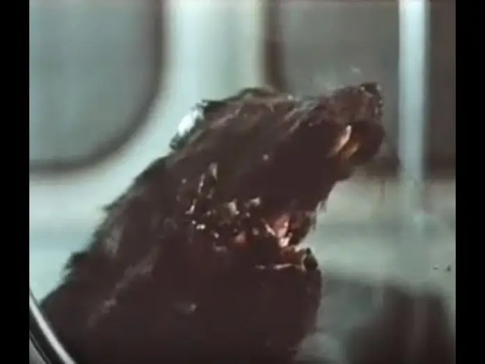 Wideo do filmu Oczy w ciemności — Rats (1982) - Trailer