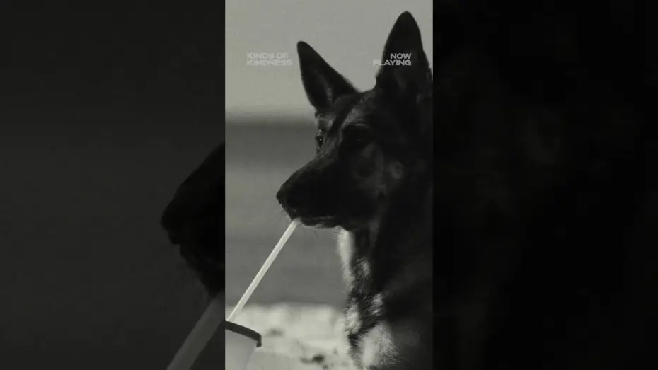 Wideo do filmu Rodzaje życzliwości — Wonderful