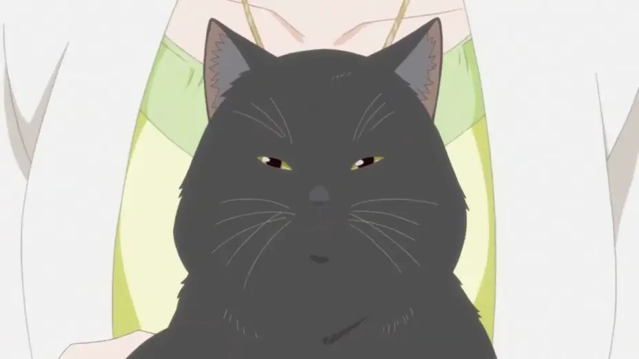 Wideo do filmu 彼女と彼女の猫 -Everything Flows- 完全版 — She and Her Cat (Trailer)