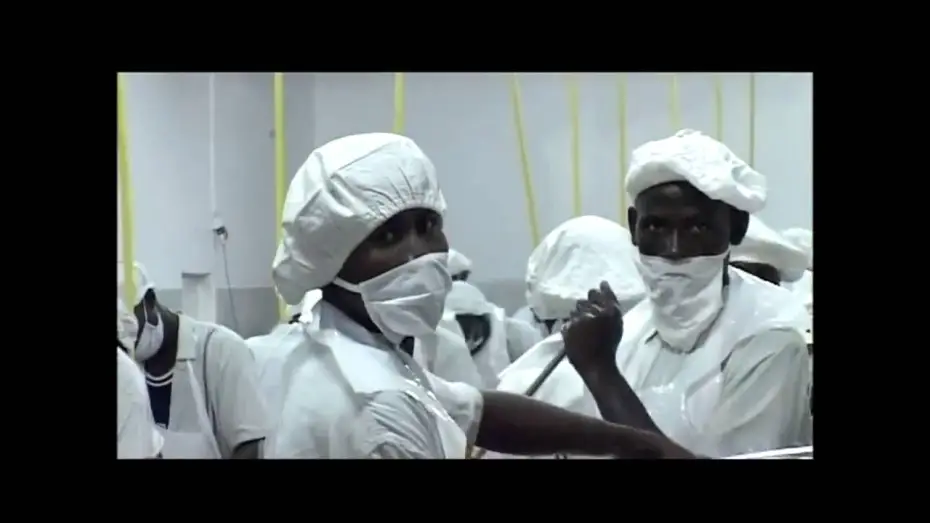 Wideo do filmu Koszmar Darwina — Le Cauchemar de Darwin - Bande annonce