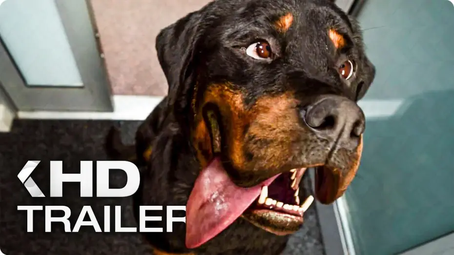 Wideo do filmu Wyszczekani — SHOW DOGS Trailer German Deutsch (2018)
