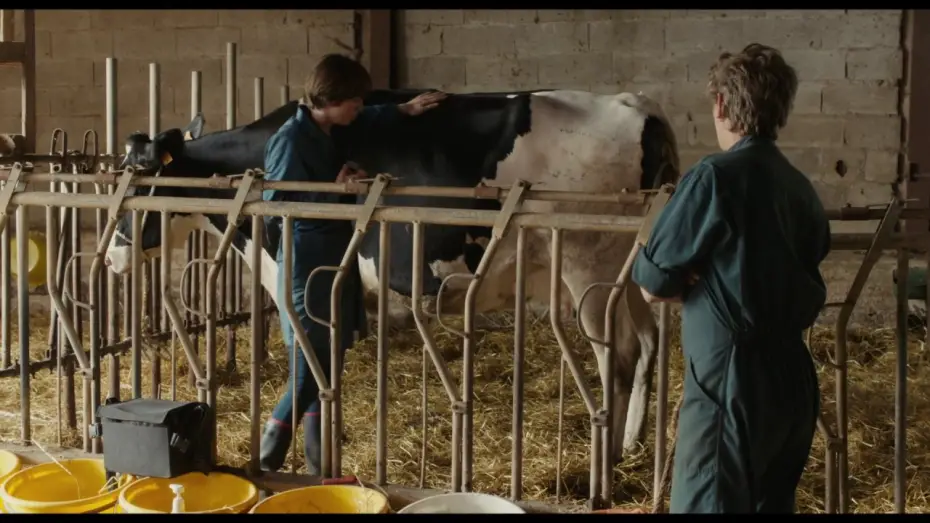 Wideo do filmu Cierpkie mleko — Petit Paysan - Bande Annonce VF