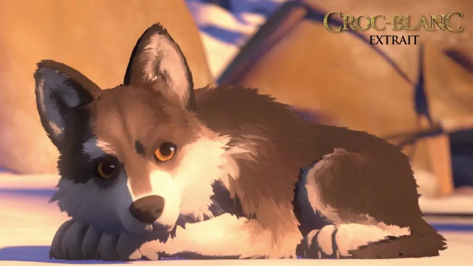 Wideo do filmu Biały Kieł — CROC-BLANC - Extrait "Entraînement de Croc-Blanc"