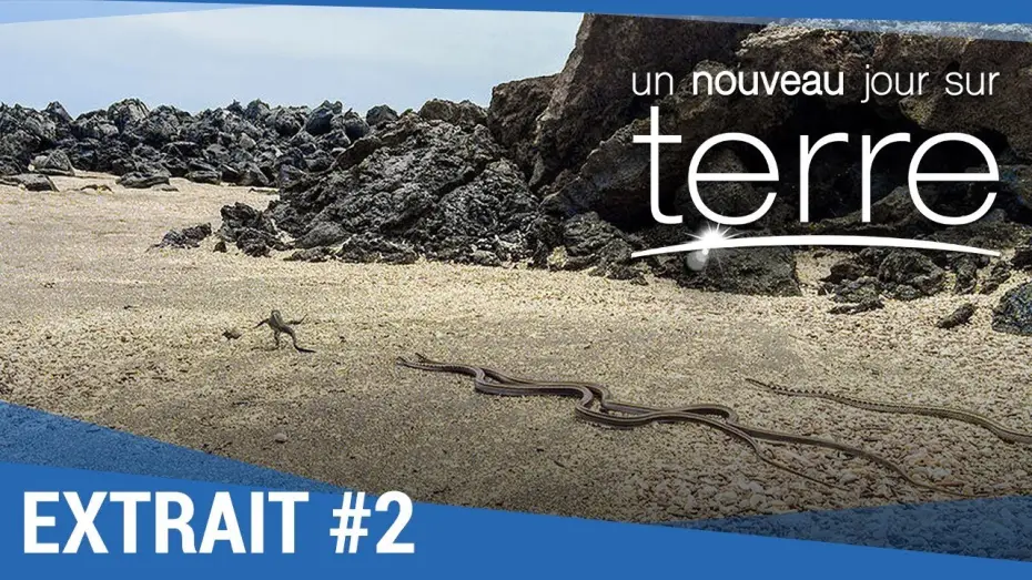 Wideo do filmu Ziemia. Niezwykły dzień z życia planety — UN NOUVEAU JOUR SUR TERRE - Extrait "Iguanes" VF