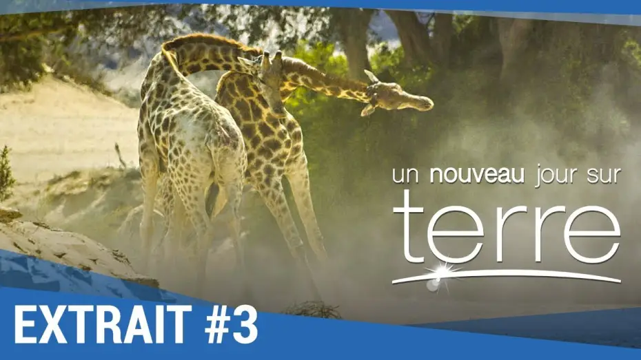 Wideo do filmu Ziemia. Niezwykły dzień z życia planety — UN NOUVEAU JOUR SUR TERRE - Extrait "Girafes" VF