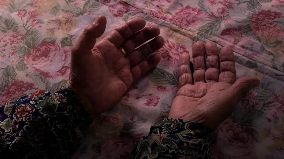 Wideo do filmu Farpões, Baldios — FARPÕES BALDIOS de Marta Mateus (2017) - teaser