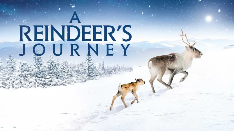Wideo do filmu Młody renifer Alex — A Reindeer's Journey - Official Trailer