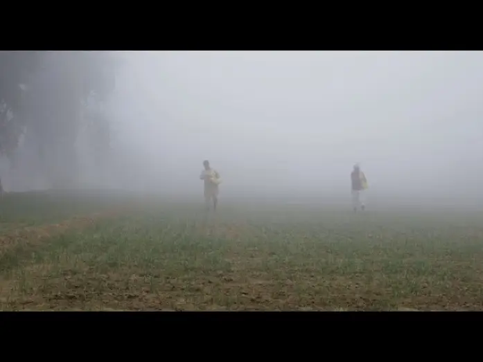 Wideo do filmu Les Dépossédés — Os Despossuídos | 8ª Mostra Ecofalante