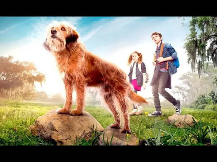 Wideo do filmu Benji — BENJI (Trailer epsañol)