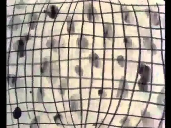 Wideo do filmu Nightclub — Night Club (1983) - Jonathan Hodgson