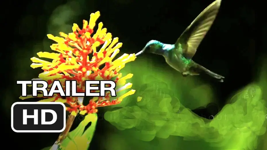 Wideo do filmu Wings of Life — Disneynature: Wings of Life Official US DVD Release Trailer #1 - Meryl Streep Movie HD
