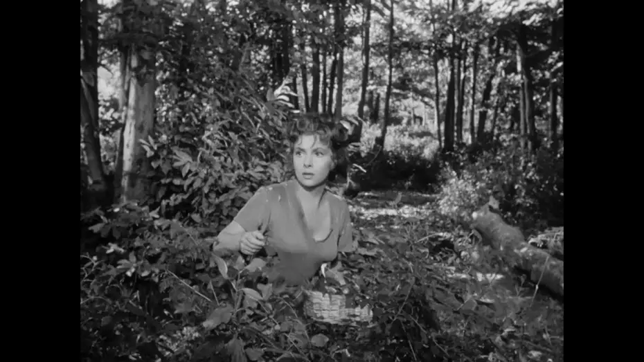Wideo do filmu Chleb, miłość i fantazja — PANE, AMORE E FANTASIA: dal 18 luglio al 24 luglio al cinema