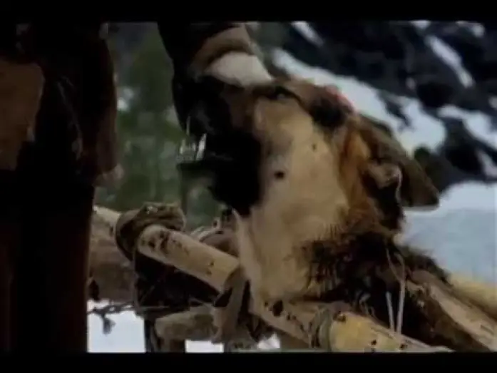 Wideo do filmu Zanna Bianca — White Fang Trailer