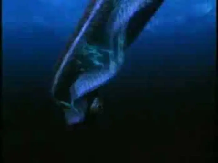 Wideo do filmu Deep Shock — Deep Shock Movie Trailer