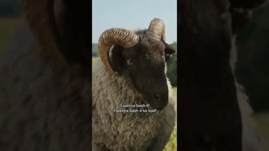 Wideo do filmu Sprawiedliwość owiec — Sheep can do anything...