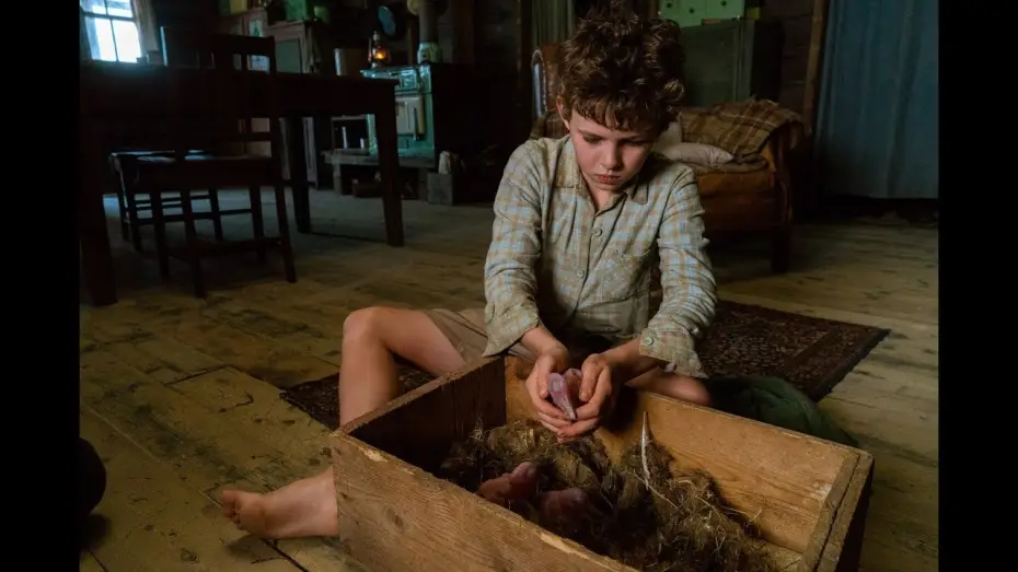 Wideo do filmu Chłopiec z burzy — STORM BOY - EXTRAIT : "Prendre des forces" VF
