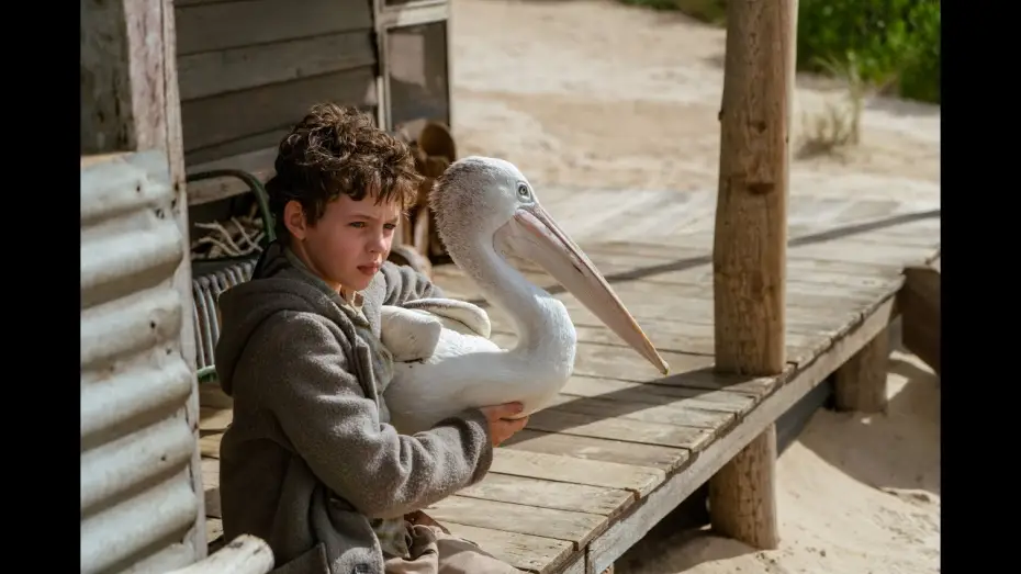 Wideo do filmu Chłopiec z burzy — STORM BOY - Bande Annonce VF