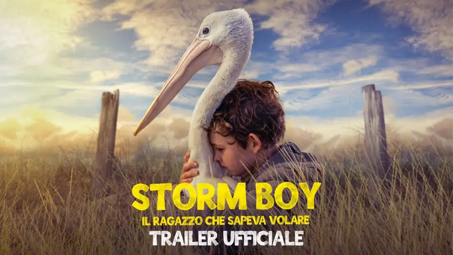 Wideo do filmu Chłopiec z burzy — Storm Boy - Il ragazzo che sapeva volare | Trailer Ufficiale | Dal 24 giugno al cinema