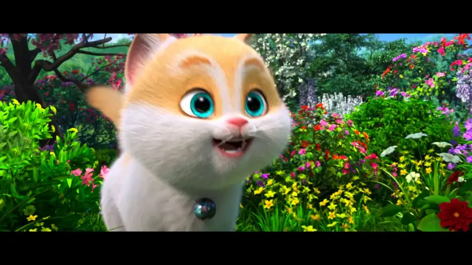 Wideo do filmu Sekretny świat kotów — Gatos - Trailer español (HD)