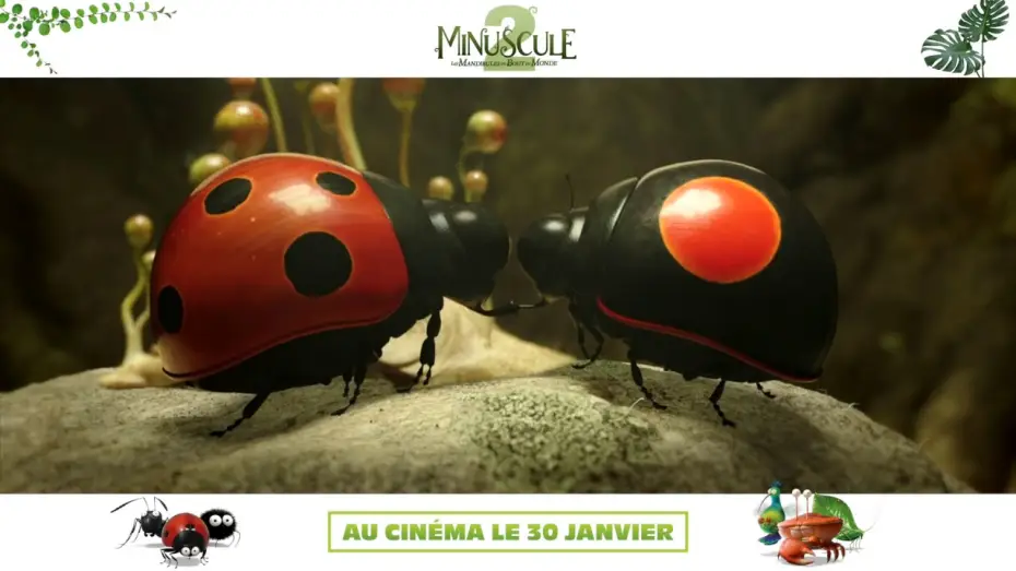 Wideo do filmu Robaczki z Zaginionej Dżungli — MINUSCULE 2 - Teaser VF