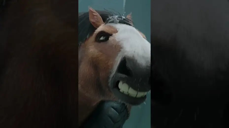 Wideo do filmu Animal Farm — The straw that broke the horse’s back…