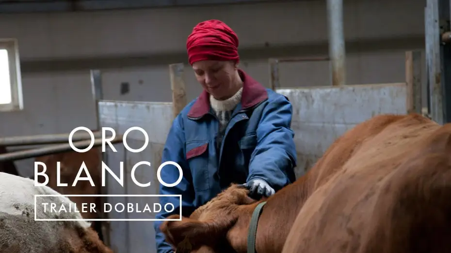 Wideo do filmu Daleko od Reykjaviku — ORO BLANCO | Tráiler Oficial Español
