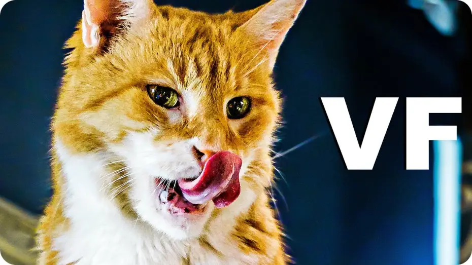Wideo do filmu Domowik — MON CHAT L'ELFE MALICIEUX ET MOI Bande Annonce VF (2020)