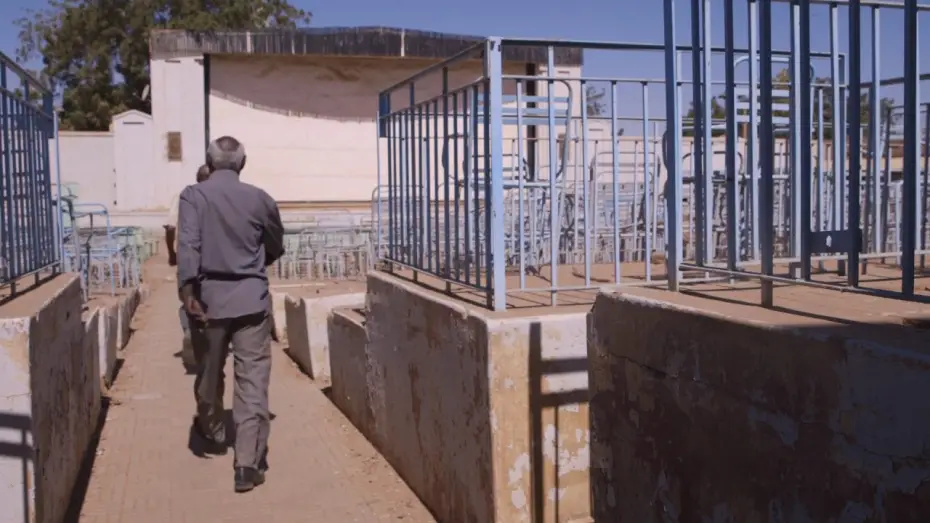 Wideo do filmu Talking About Trees — Clip