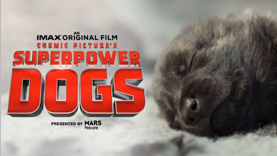 Wideo do filmu Superpower Dogs — Superpower Dogs Official Trailer | Experience it in IMAX®