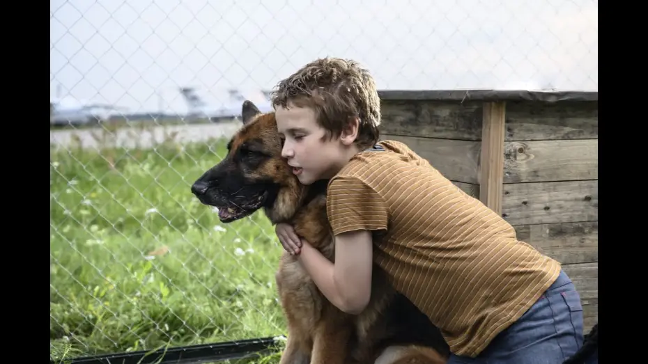 Wideo do filmu Пальма — Una amistad para siempre - Tráiler