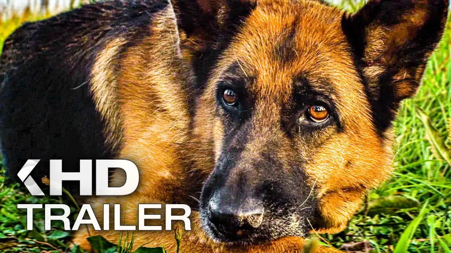 Wideo do filmu Пальма — EIN HUND NAMENS PALMA Trailer German Deutsch (2021) Exklusiv