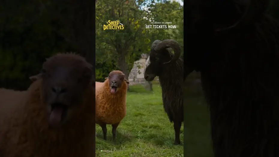 Wideo do filmu Sprawiedliwość owiec — There They Are