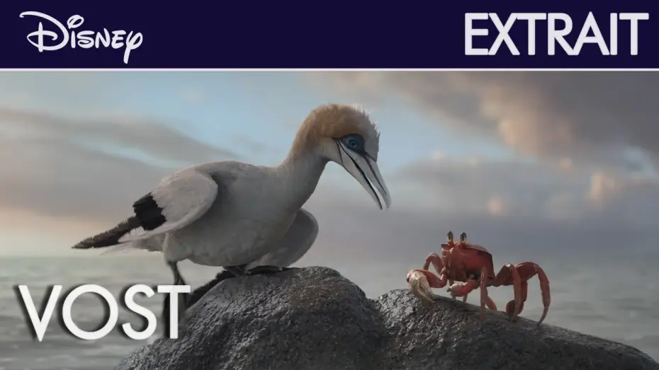 Wideo do filmu Mała syrenka — La Petite Sirène - Extrait : Écoute-moi bien l'oiseau (VOST) | Disney