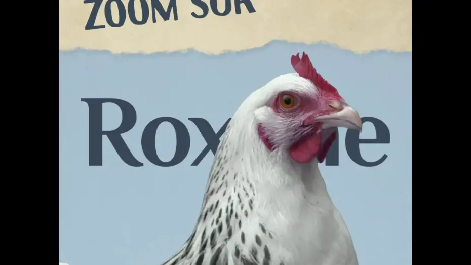 Wideo do filmu Roxane — Roxane - avec Guillaume de Tonquédec et Léa Drucker